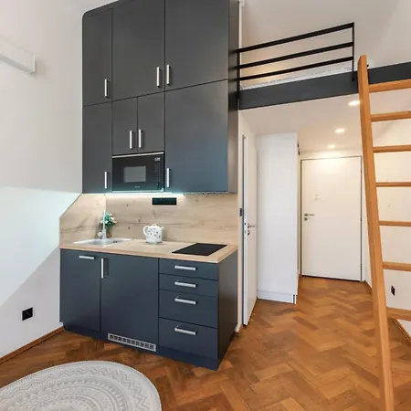 Zizkov Nest *