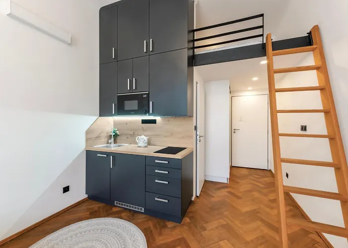 Zizkov Nest *