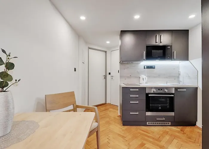 Zizkov Nest Apartamento *